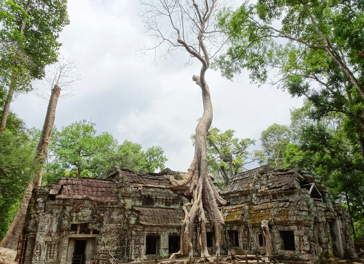 Ta Prohm temple